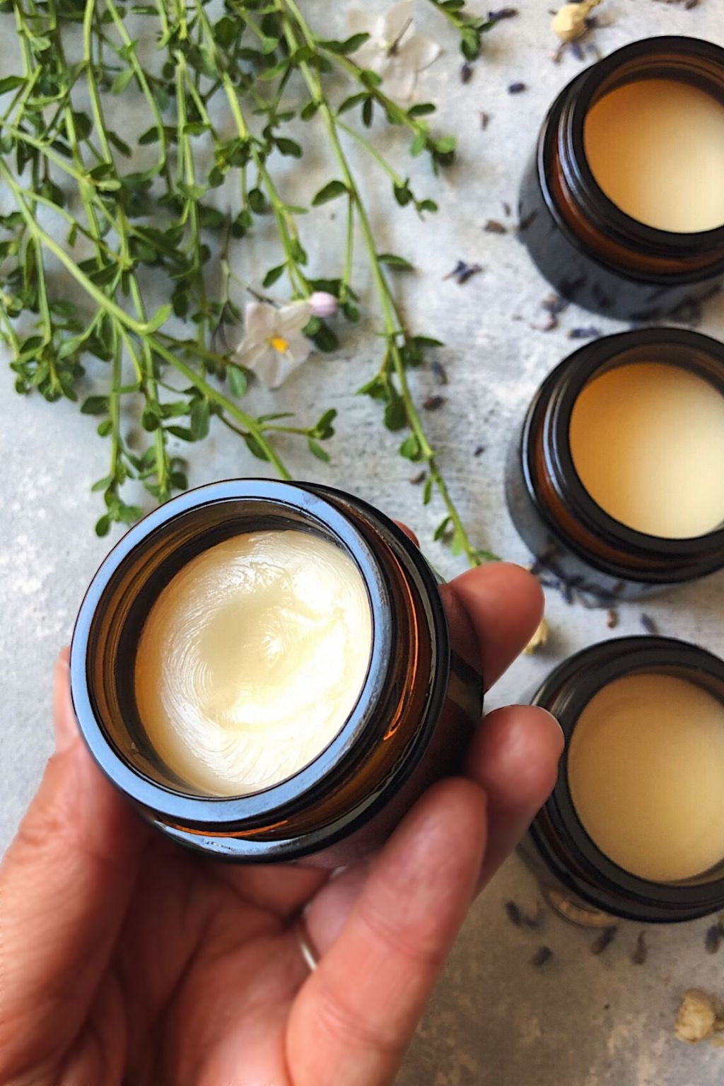 Golden Tallow